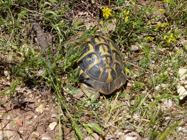 Rencontre varoise