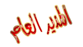 المدير العام المدير العام