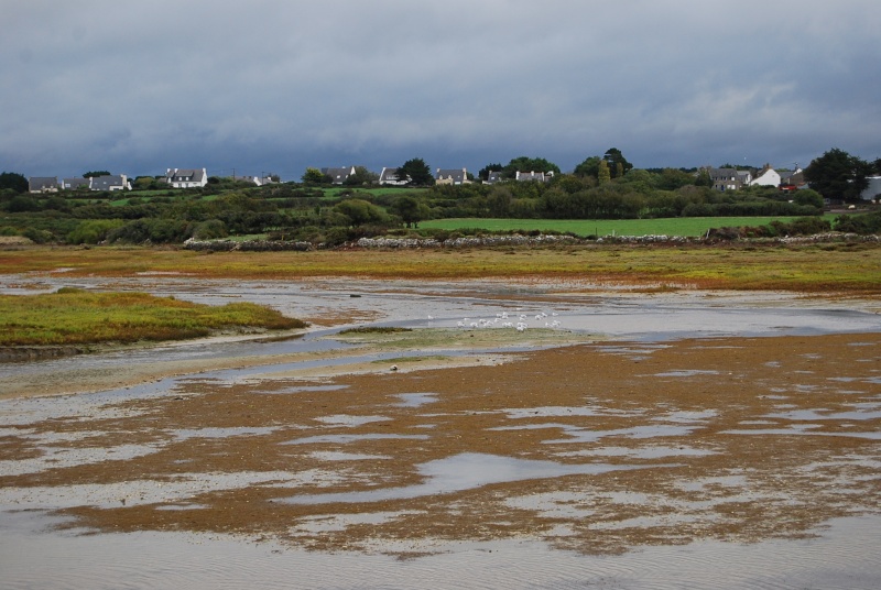 le bon coin bretagne rencontres