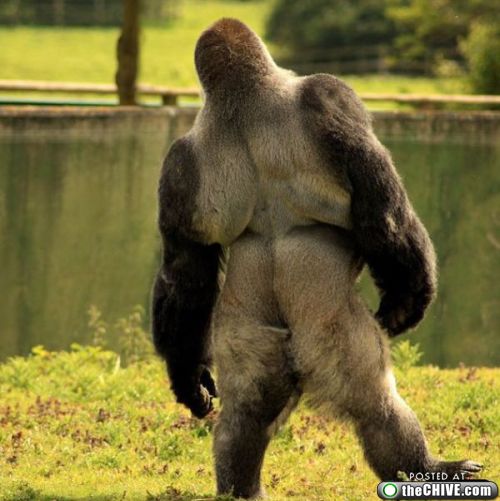 walkin10.jpg
