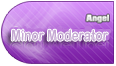 Minor Moderator Minor Moderator