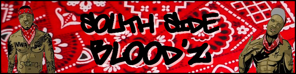 Image result for southside bloods