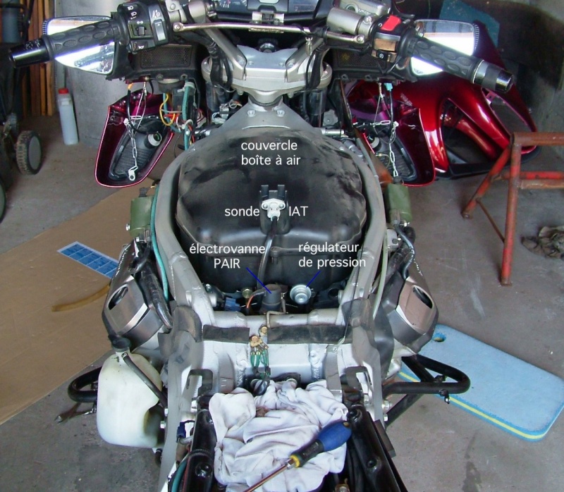 dscf0710.jpg