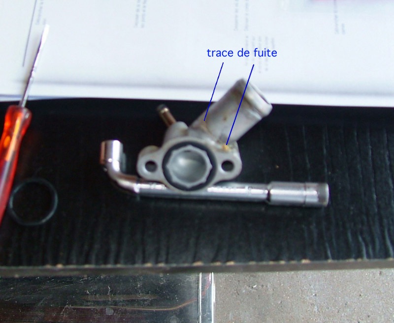 dscf0714.jpg