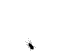 T-Graphics
