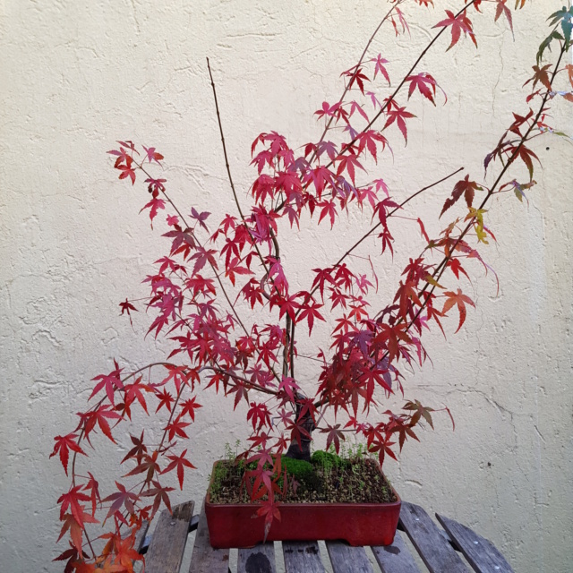 20191110.jpg